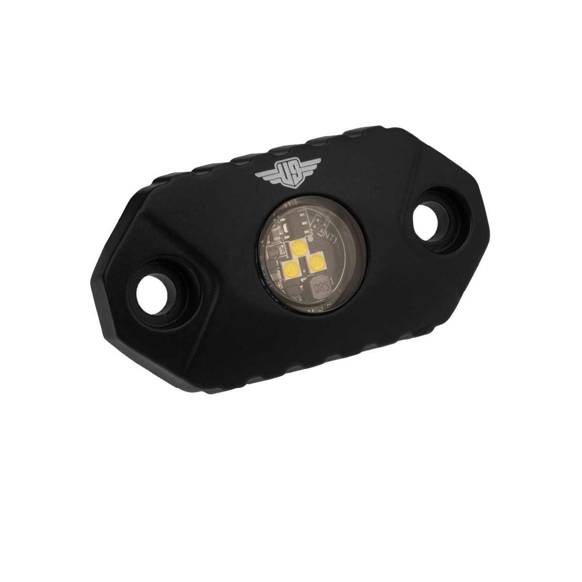 LED Rock Light: Blue